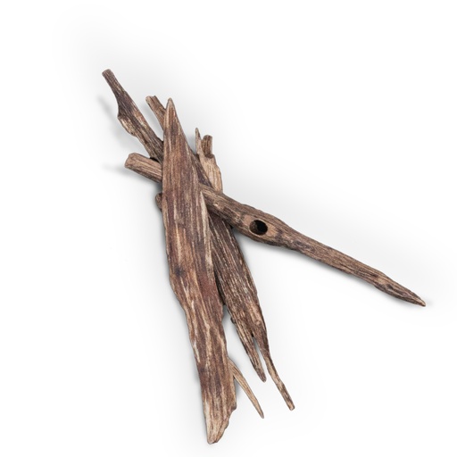 عود سيوفي